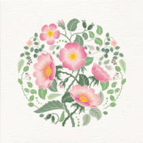 wild rose greeting card design