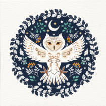 Night owl greetings card