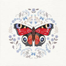 Peacock butterfly greetings card