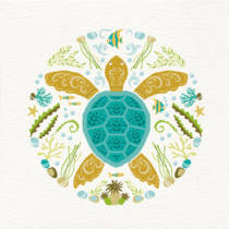 Turtle card
